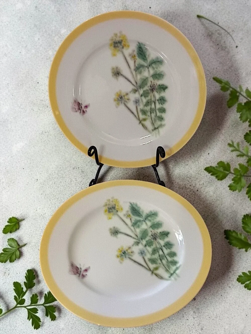 2 Williams Sonoma Flowering Herbs Salad Plates Yellow Burnet Purple Butterfly
